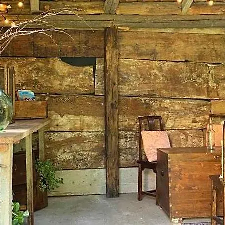 Azalea Bed & Breakfast